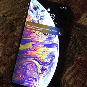iPhone XS Max 256GB